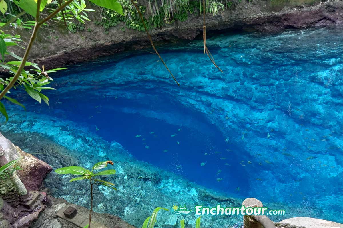 THE ‘BLUER THAN BLUE’ ECO-TOUR