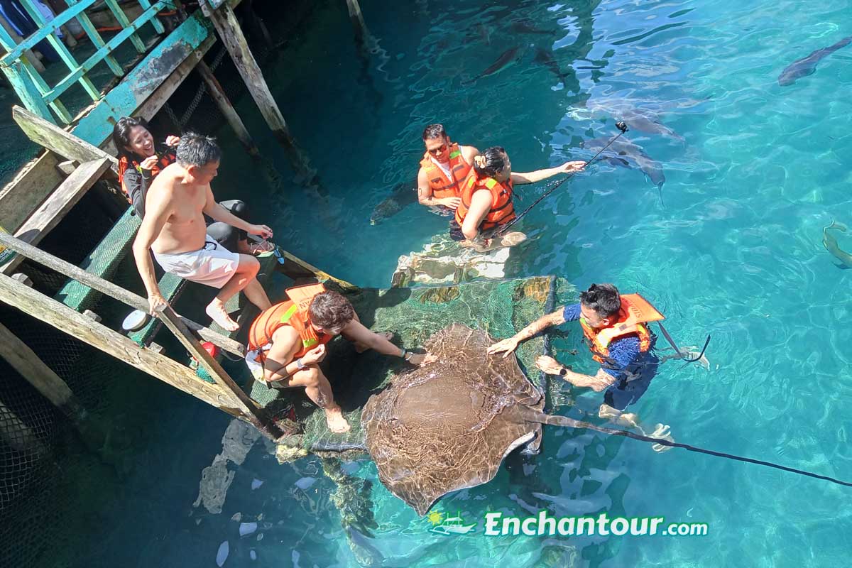Enchanted River & Spellbinding Seas: 2D1N Hinatuan Aqua-Adventure