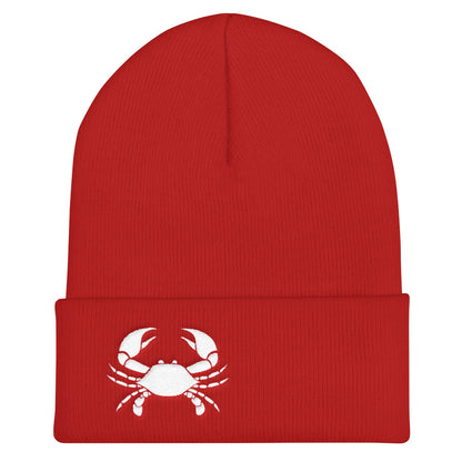 Cancer Beanie - Zodiac Symbol Design